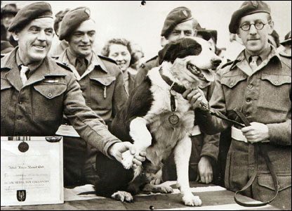 VE Day 75 – remembering animal heroes