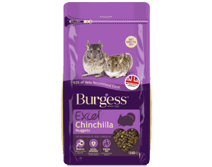 Featured Product
