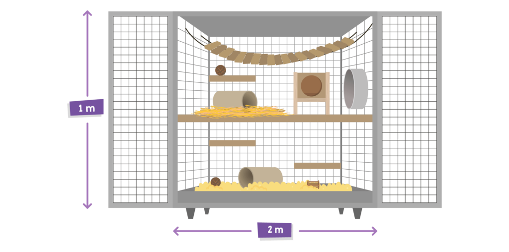 Chinchilla Housing