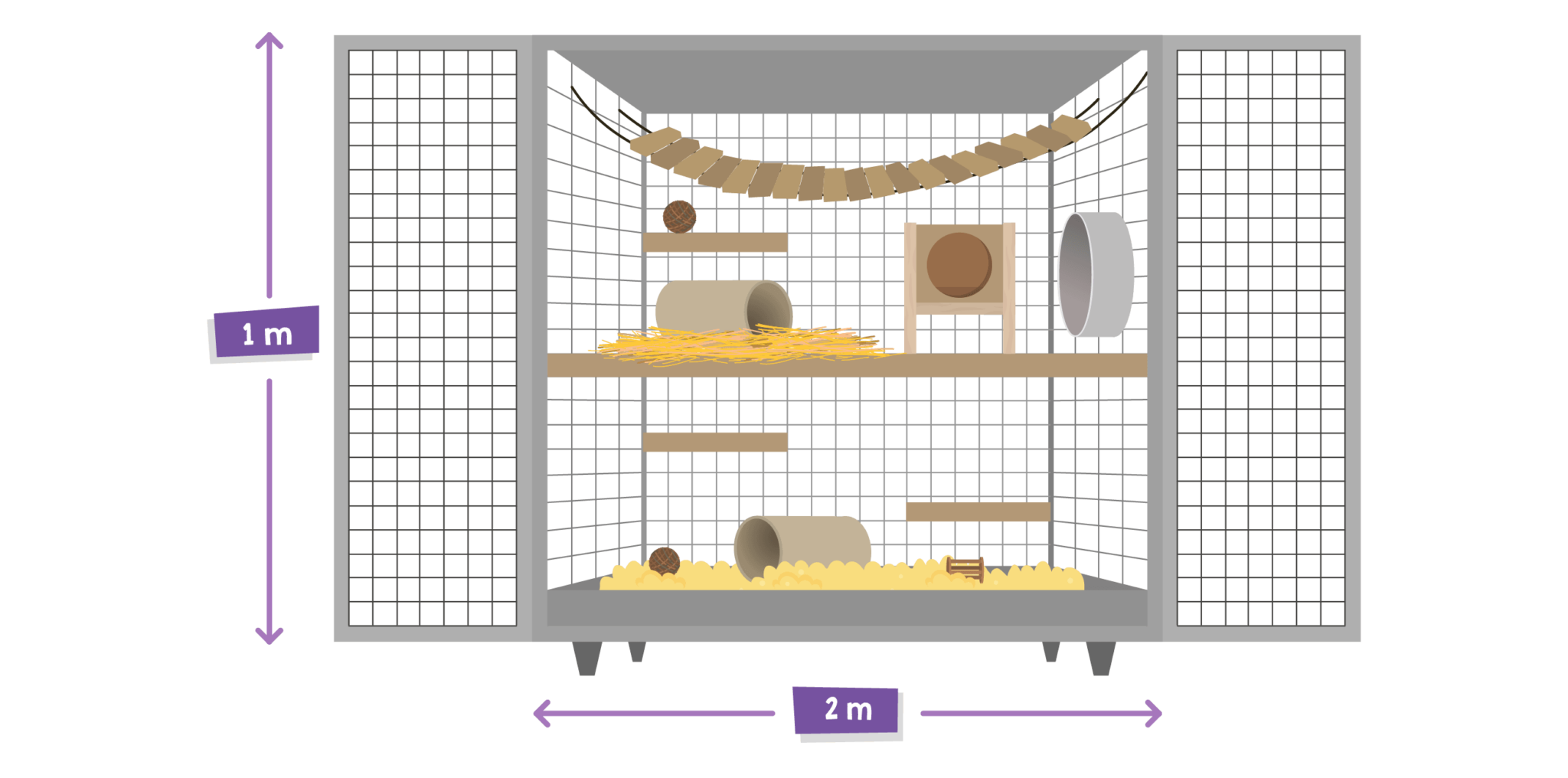 Chinchilla Companionship Bonding & Handling Burgess Pet Care