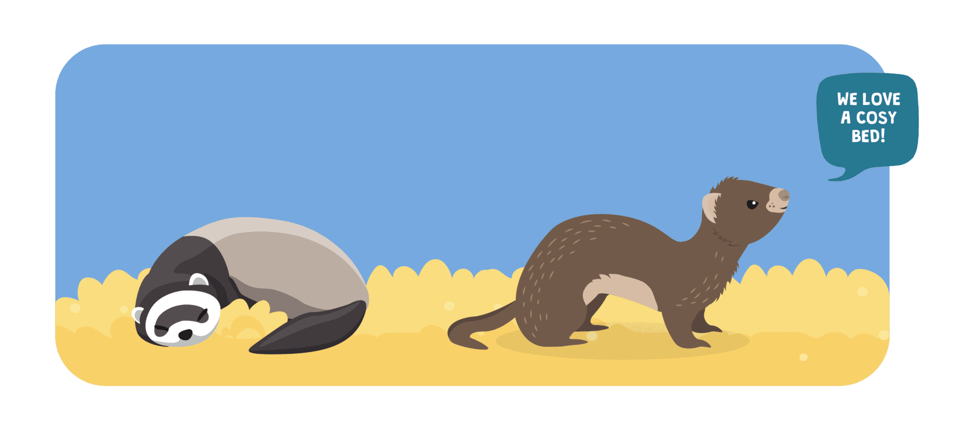 Housing your ferrets Indoor & outdoor ferret enclosure guide Burgess Pet Care