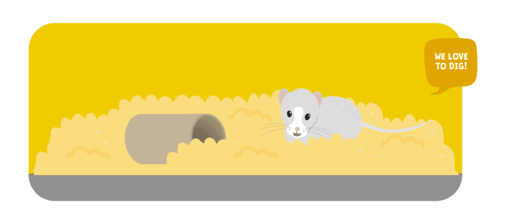 Gerbils love to dig