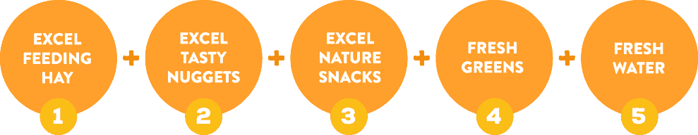 The Excel Feeding Plan