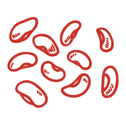 Peanuts