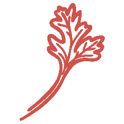 Rhubarab