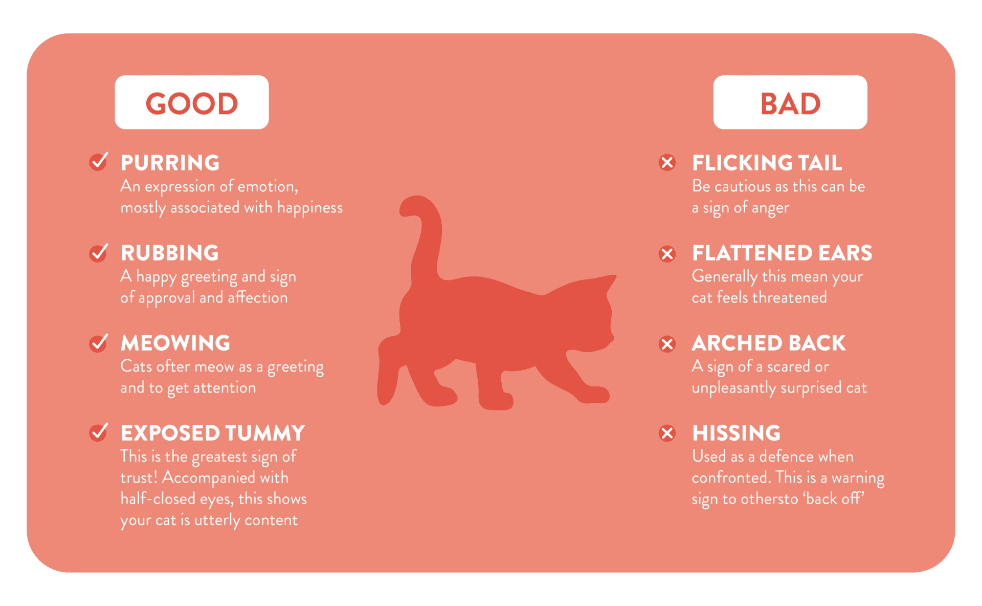 Cat & Kitten Training Guide Litter Training Burgess Pet Care