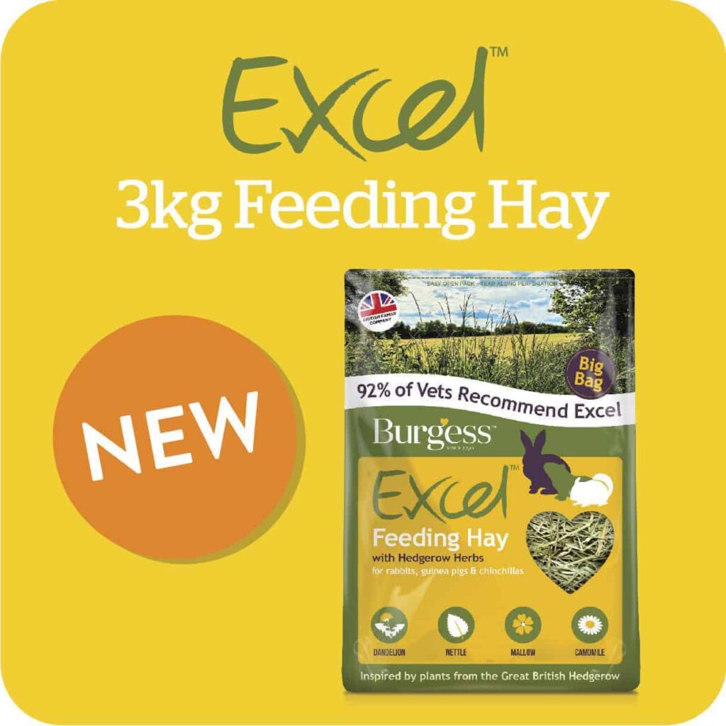 Natural Pet Food for Cats, Dogs & Small Pets Burgess Pet Care