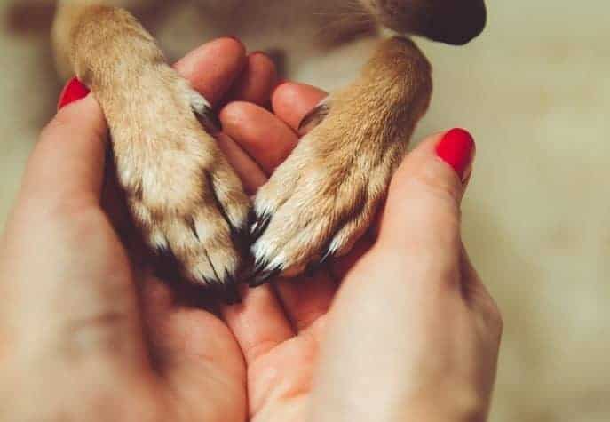 Love is in the air