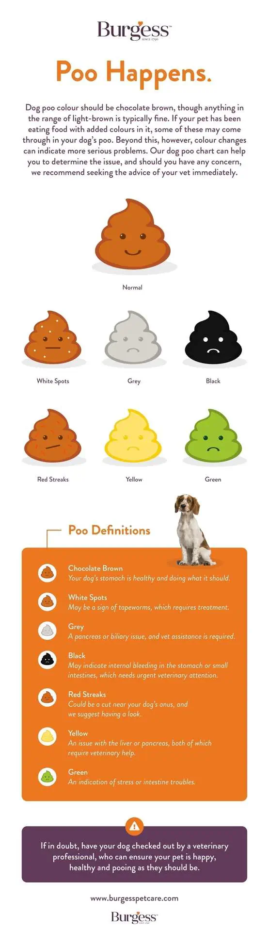 what does orange dog poop mean