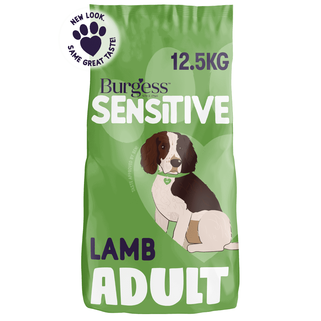 Sensitive Adult Dog Lamb Burgess Pet Care