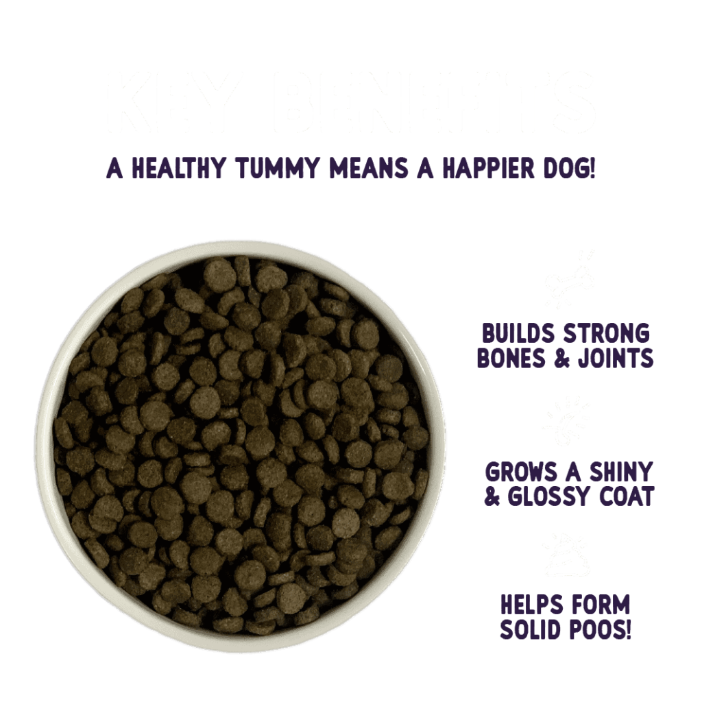 Burgess Sensitive Adult Lamb Dry Dog Food Burgess Pet Care