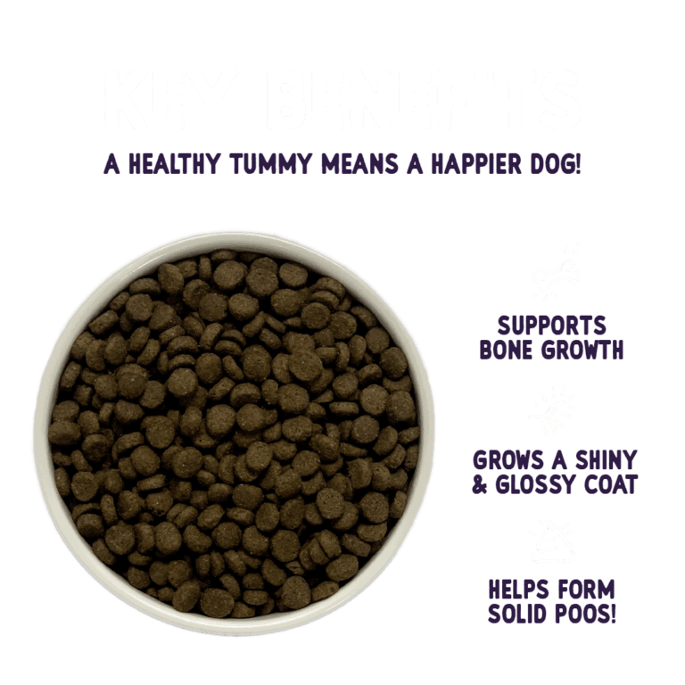 Burgess Sensitive Puppy food Dry Dog Food Burgess Pet Care