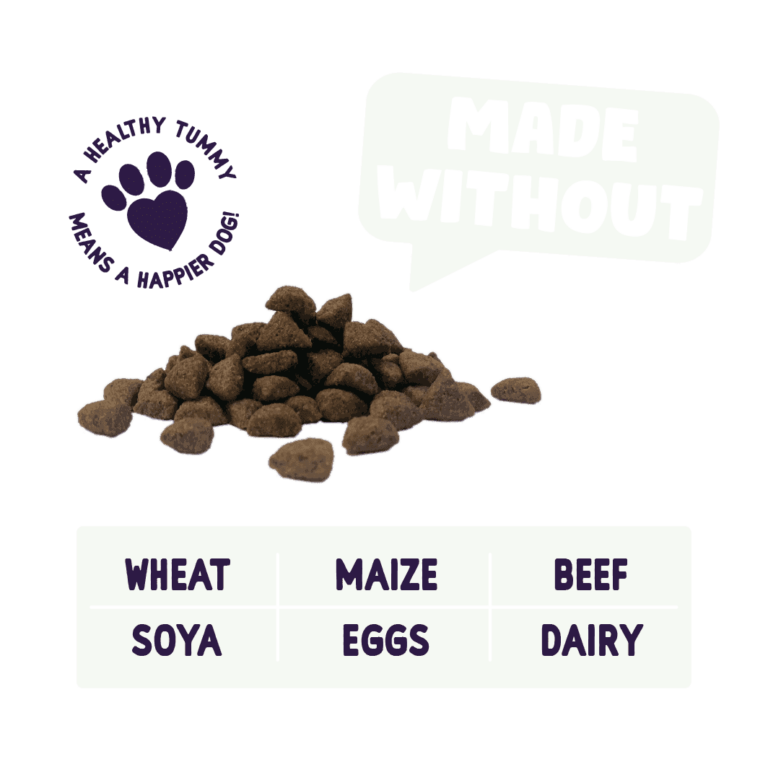 Burgess Sensitive Adult Turkey Dry Dog Food Burgess Pet Care