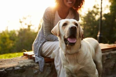 Dog with their owner