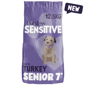 Sensitive Senior