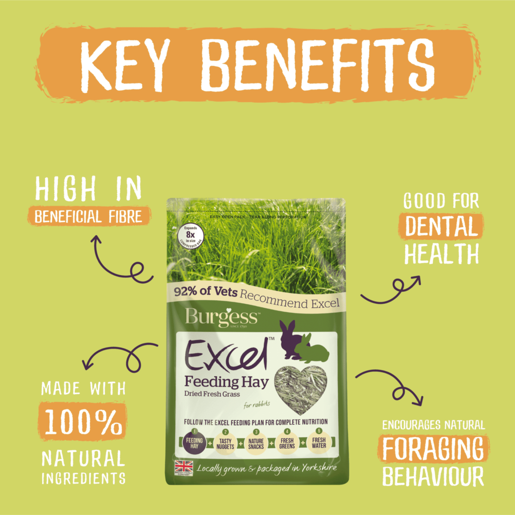Burgess Excel Feeding Hay Burgess Pet Care