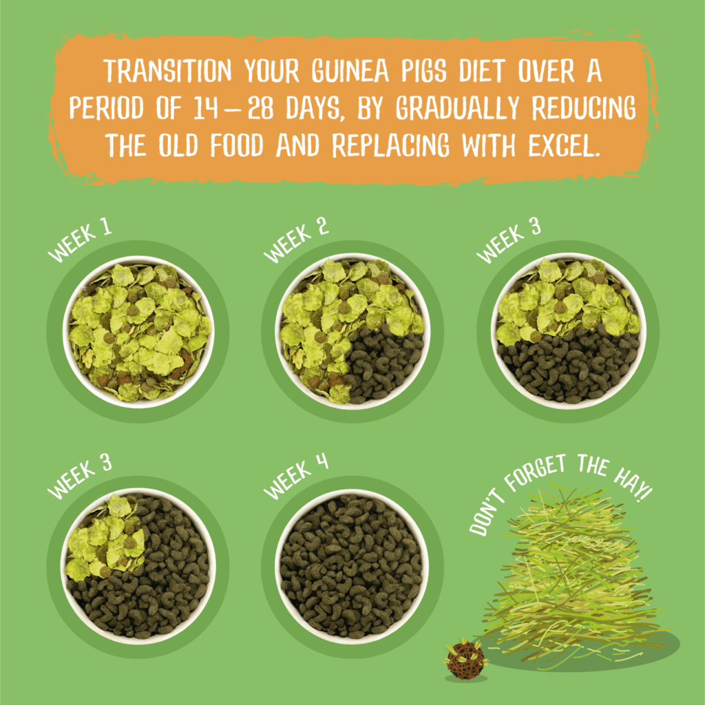 Picture of Excel Adult Guinea Pig Nuggets with Mint | Burgess Pet Care