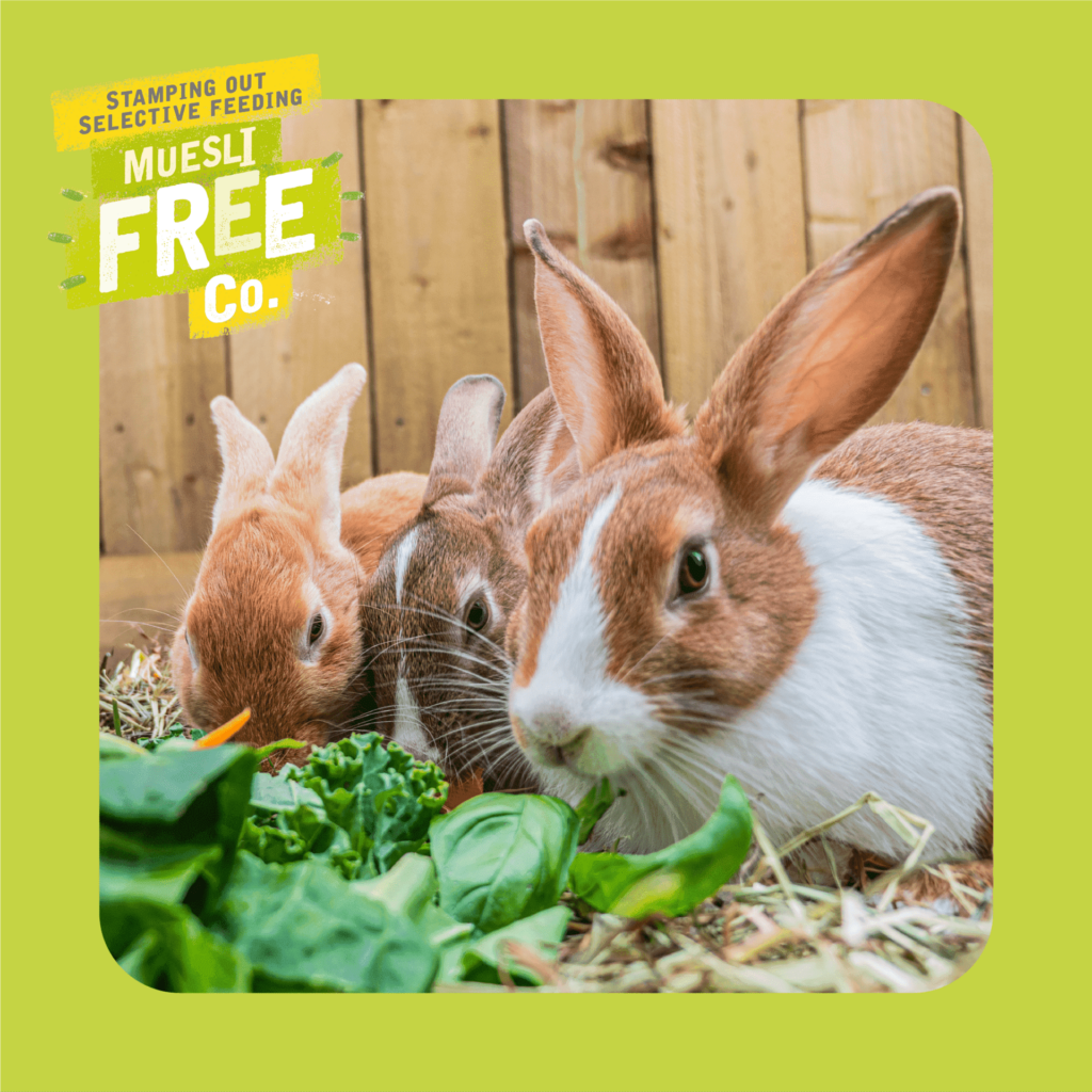 Excel Adult Rabbit Nuggets with Mint Burgess Pet Care