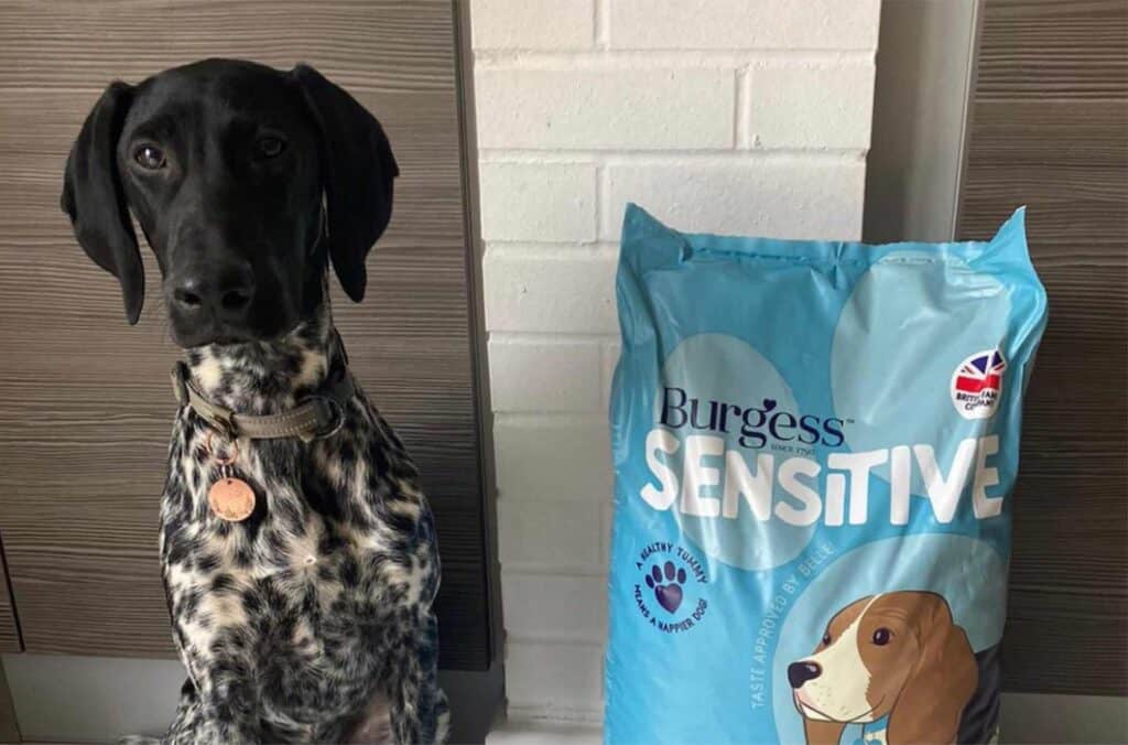 Burgess Sensitive Dog Food Burgess Pet Care