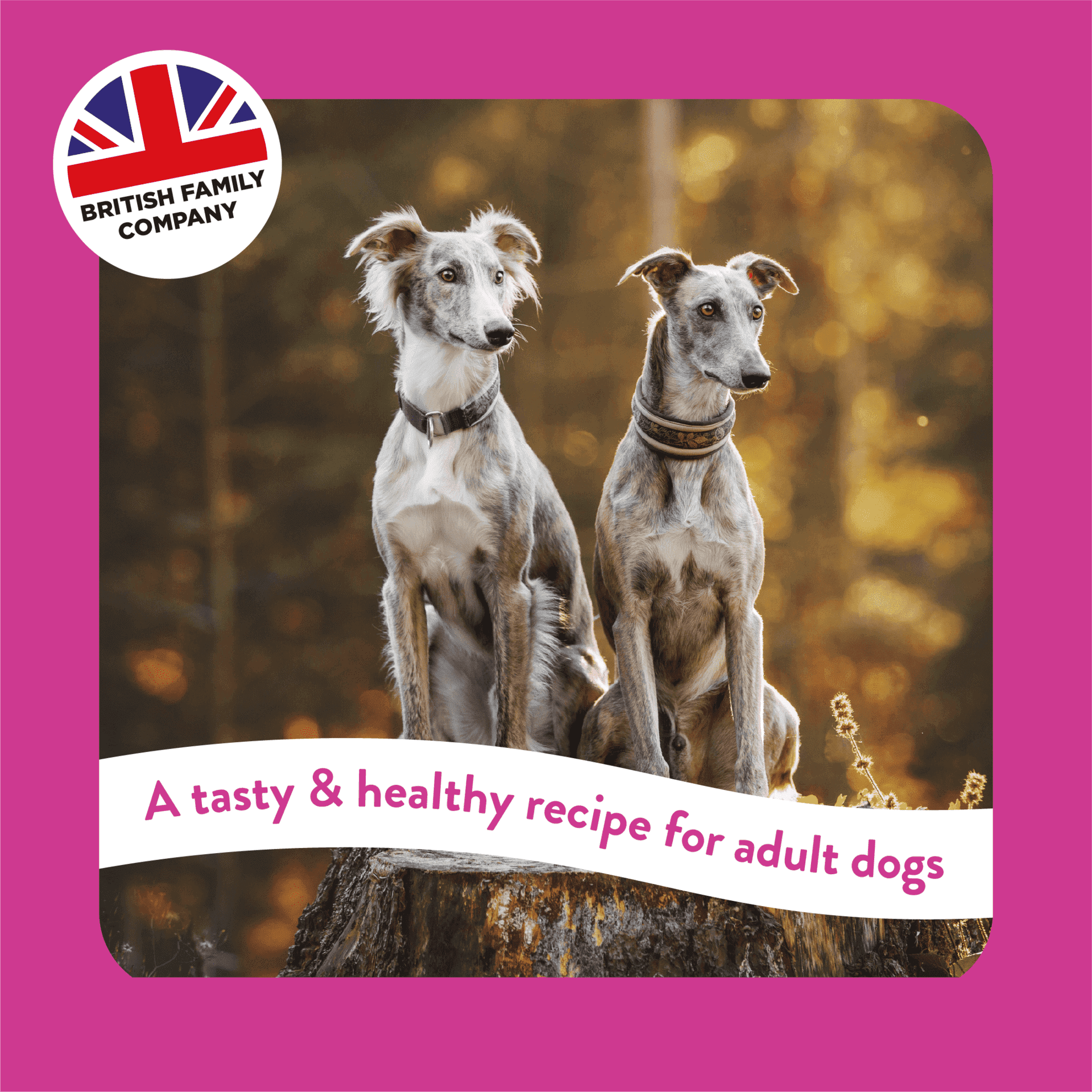 Greyhound & Lurcher Chicken Burgess Pet Care