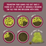 Transition from muesli to nuggets
