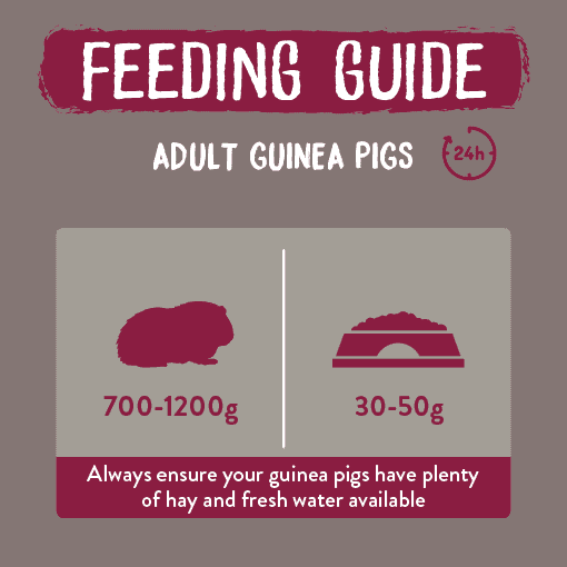 Feeding guide