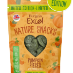 Excel Pumpkin Pieces