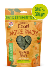 Excel Pumpkin Pieces