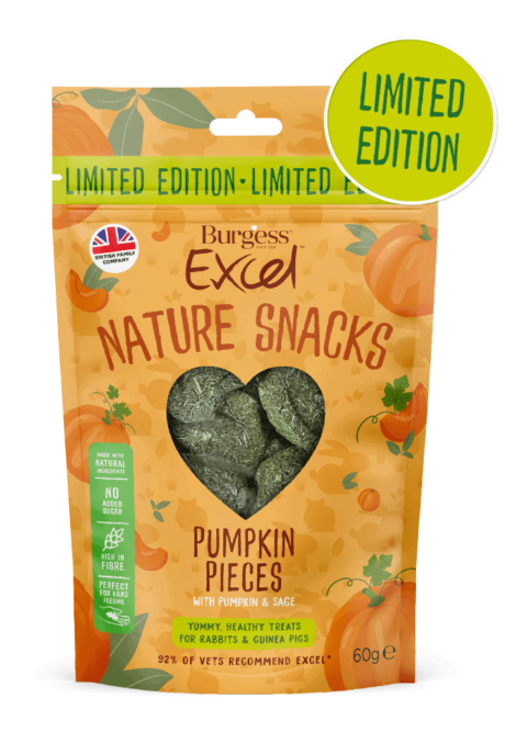 Excel Pumpkin Pieces