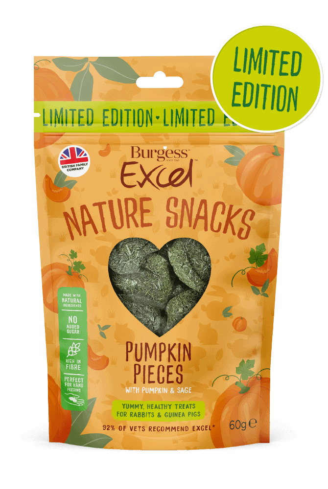 Burgess Pet Care - Guinea Pig Food - Treat  - Excel - Burgess Excel Springtime Snacks  - 60g