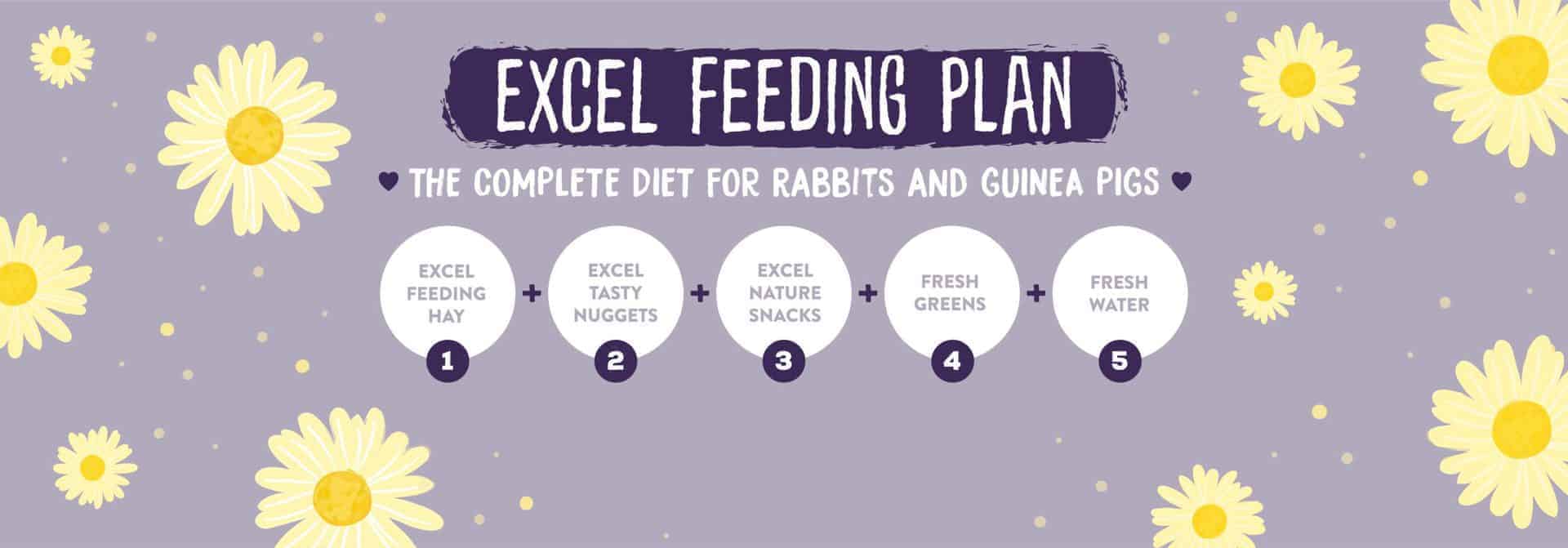 Product Info Graphic