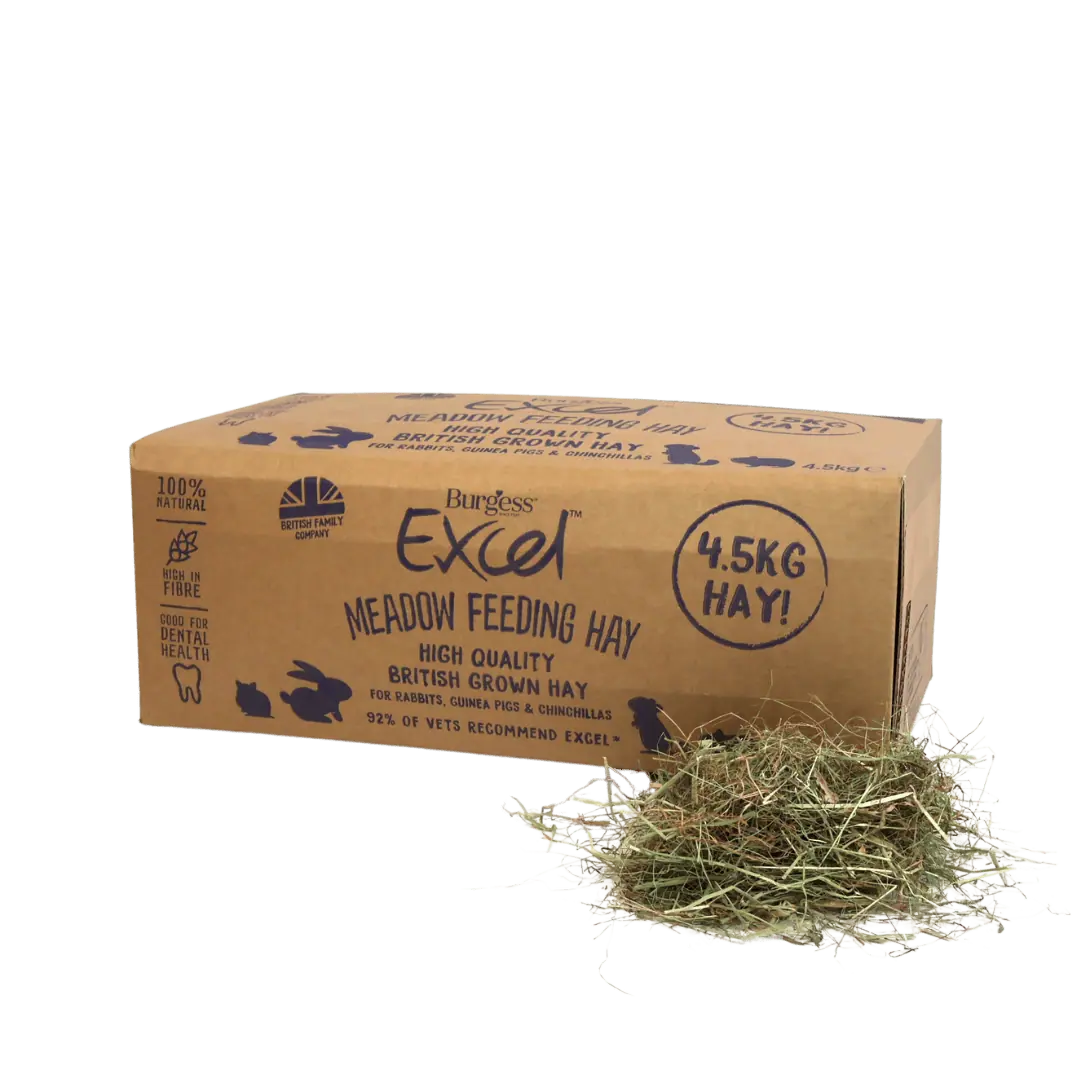 Excel Meadow Hay for Rabbits & Guinea Pigs | Burgess Pet Care