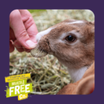 Stamping out selective feeding. Muesli Free Co.