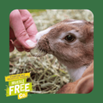 Stamping out selective feeding. Muesli Free Co.