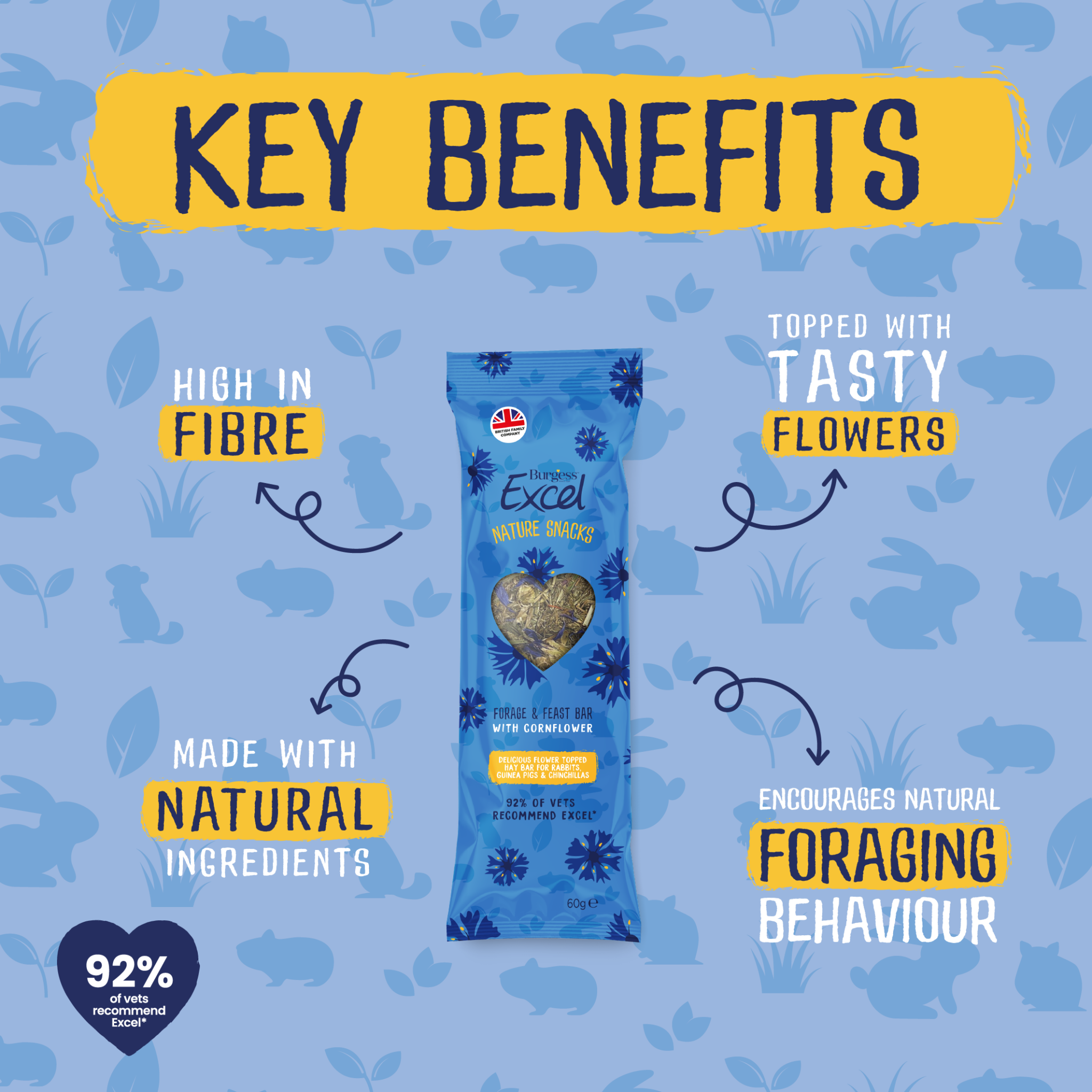 Cornflower topped hay treats for rabbits and guinea pigs Burgess Pet Care