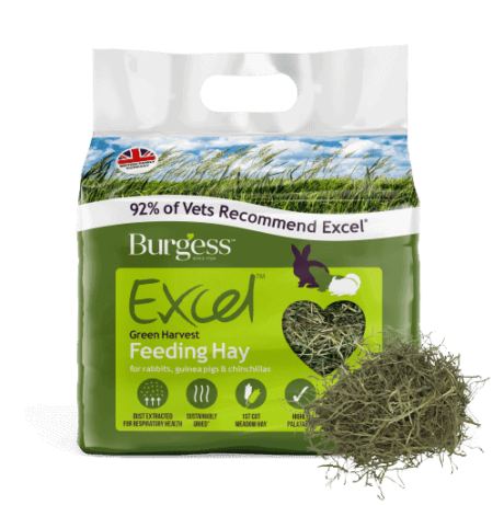 Burgess Excel Green Harvest Hay