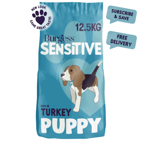 Burgess Sensitive Puppy