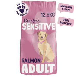 Sensitive Adult Dog Salmon