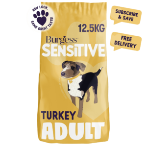 Sensitive Adult Dog Turkey