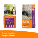 A new look for Burgess Excel