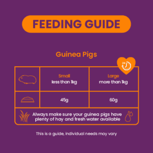 Excel Guinea Pig Nuggets Blackcurrant & Oregano Feeding Guide