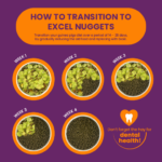 How to transition to Burgess Excel Guinea Pig Nuggets
