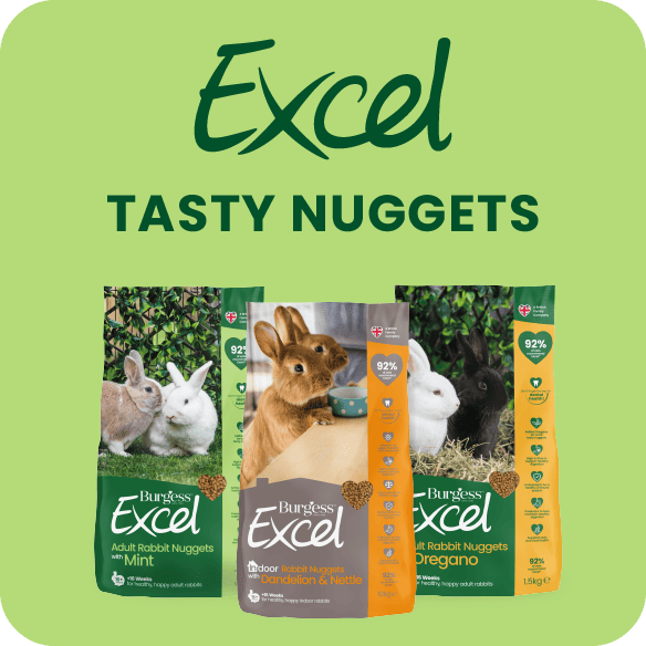 tasty excel nuggets