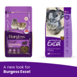 A new look for Burgess Excel