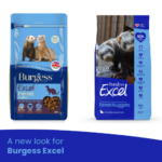A new look for Burgess Excel