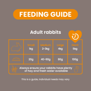 Burgess Excel Indoor Rabbit Nuggets Feeding Guide