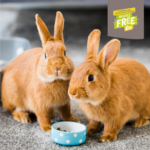 Burgess Excel Indoor Rabbit Nuggets