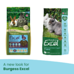 A new look for Burgess Excel
