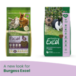 A new look for Burgess Excel