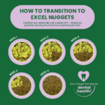 How to transition to Excel Rabbit Nuggets